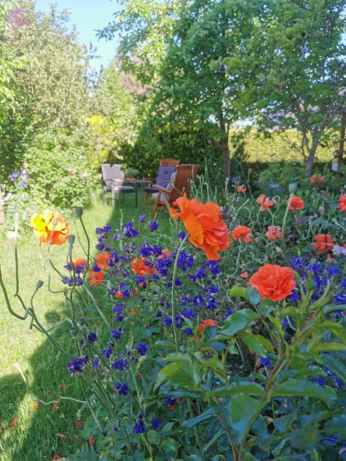 Gartenwohnung Paulsdorf Dippoldiswalde Extérieur photo