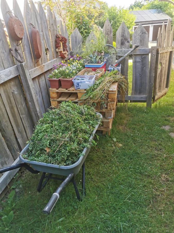 Gartenwohnung Paulsdorf Dippoldiswalde Extérieur photo